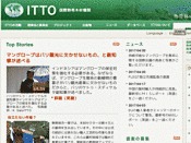 国際熱帯木材機関（ITTO）